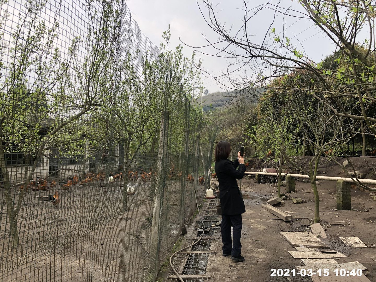 1617334866836074389.jpg 2.jpg