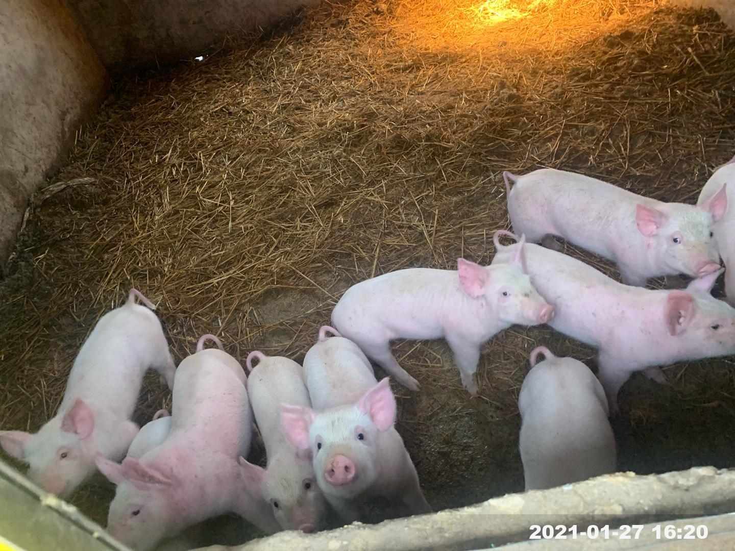 1617334880548097296.jpeg 3.jpeg